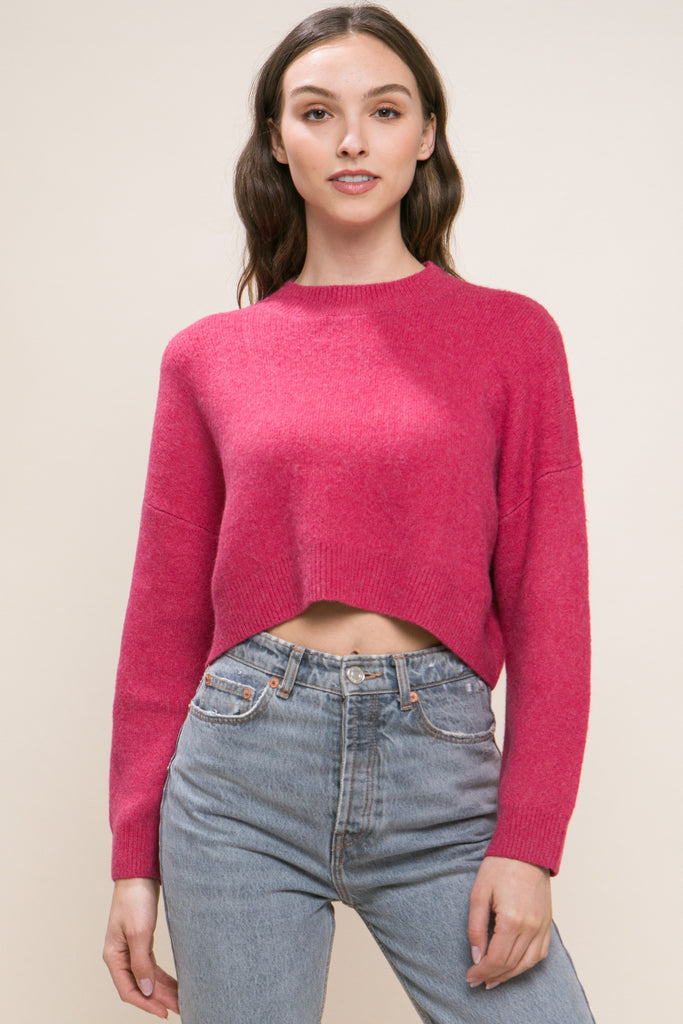 Stylish Crop Sweater Top